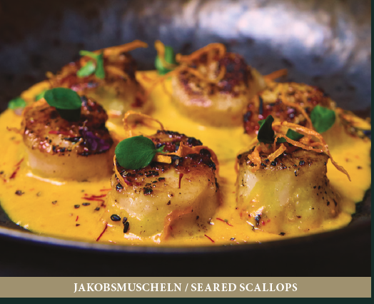 Jakobsmuscheln / Seared Scallops
